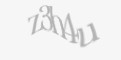 Защитный код