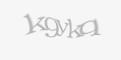 Защитный код