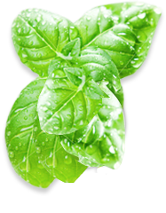 косметика для волос