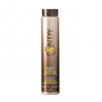 Поживний шампунь Andy Treat Dikson для сухого волосся 250 мл