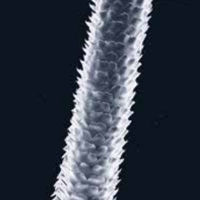 пористые-волосы